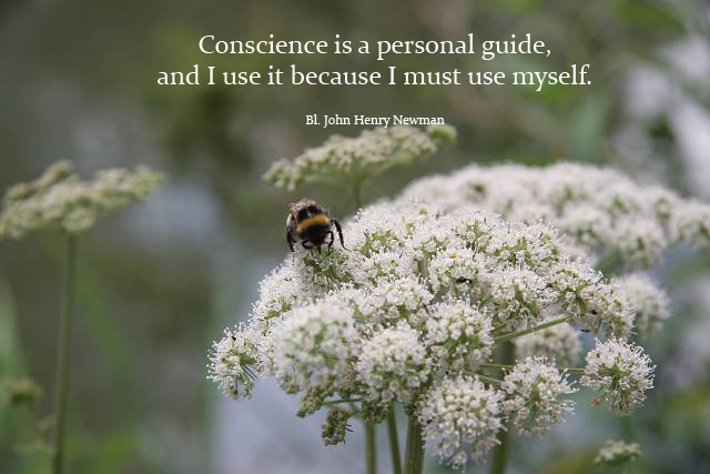 Conscience