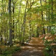 sentier