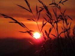 lever du soleil en Autriche